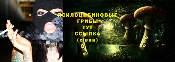 герыч Алексин