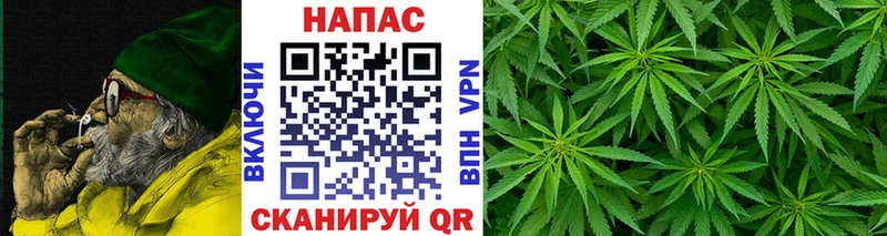 Шишки марихуана сатива  Дедовск 